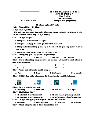 Bài kiểm tra học kỳ I môn Tin học Lớp 6 - Năm học 2018-2019